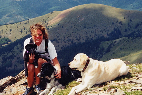 Dogs on mountain top