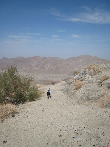 Bonnie Mojave. 21 July 2007.