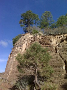 West of the main Bandelier entrance on Hwy 4.