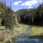 vcdc07 East Fork Jemez River near Los Conchas Campground.