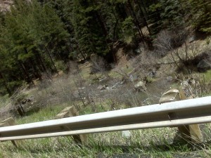 Jemez River flows along side the road for many miles.