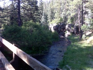 Coyote Creek