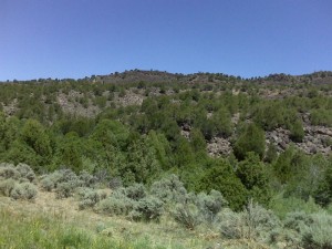 East of Costilla
