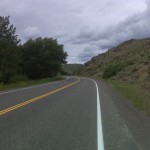 Medicine Bow National Forest