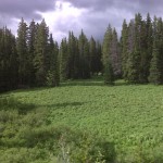Between Muddy Pass and Rabbit Ears