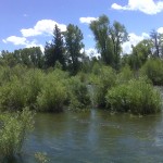 Near Granby