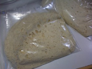 Dough after overnight rise