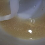 Proofing yeast Proofing yeast