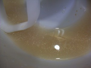 Proofing yeast