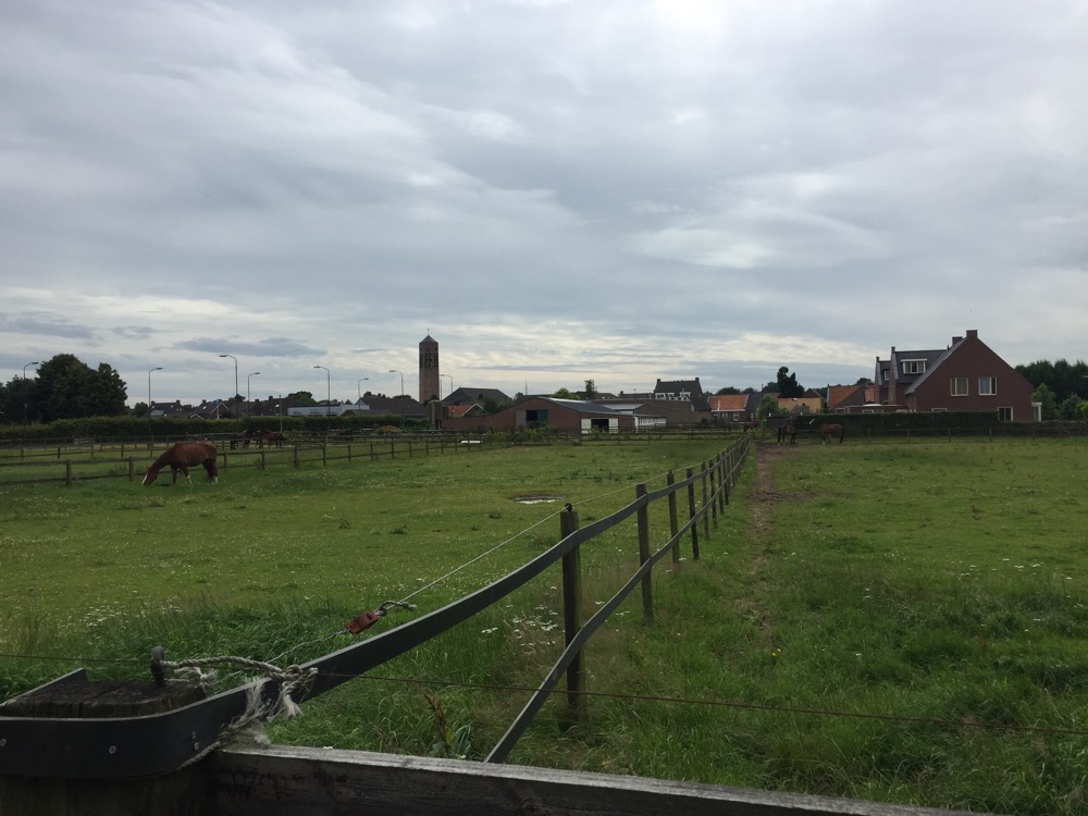 paard voor boerderij, Vierlingsbeek, North Brabant