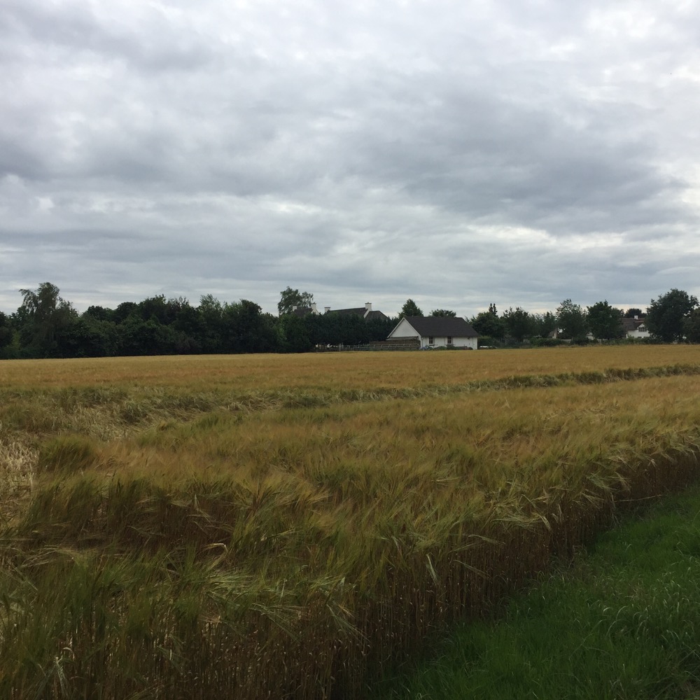 boerderij, Meerlo, Limburg