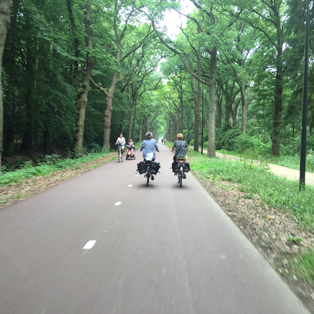 fietsers op fietspad door bomen