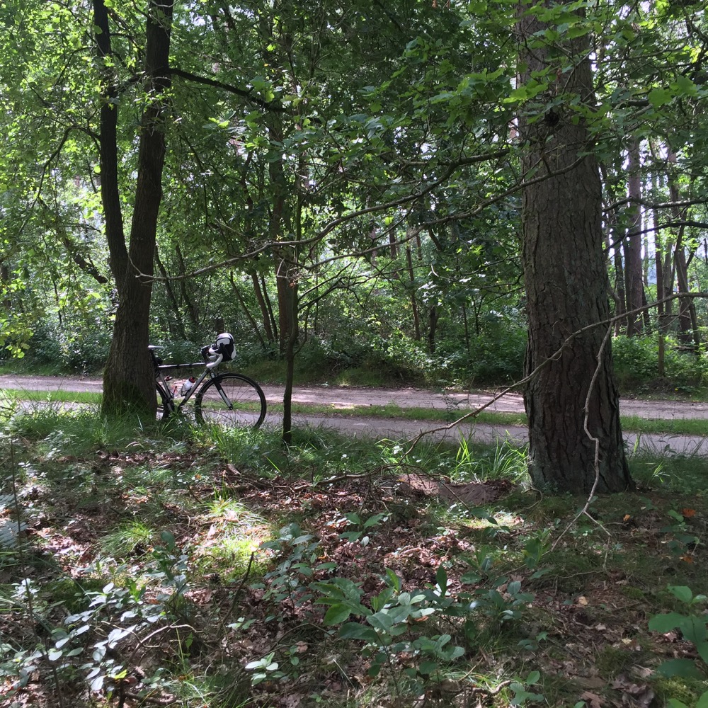 fiets naast boom