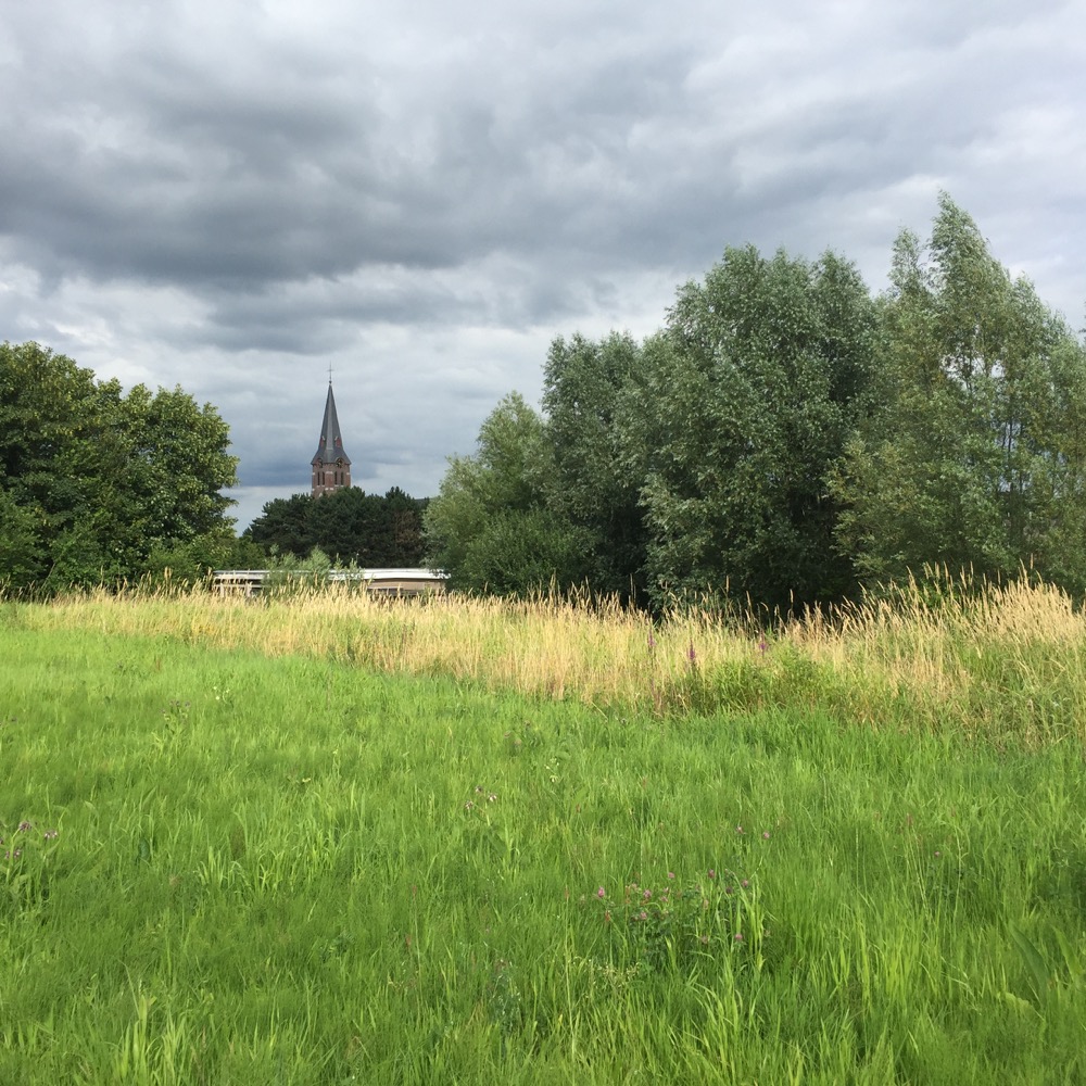 groen veld met kerk in achtergrond